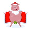 A funny naked boar in Santa`s costume. New Year`s vector.