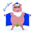 A funny naked boar in Santa`s costume. Secret Santa. Vector.