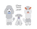 Funny new year card with poodle family Royalty Free Stock Photo