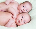 Funny newborn baby twins lying one next other