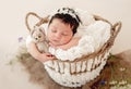 Funny newborn in basket on stomach