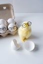 Funny newborn chick glasses with broken egg shell on head conceptual scene just born