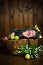 Funny newborn little baby girl in a costume of hedgehog sleeping sweetly on the stump Royalty Free Stock Photo