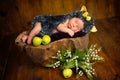 Funny newborn little baby girl in a costume of hedgehog sleeping sweetly on the stump Royalty Free Stock Photo