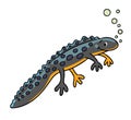 Funny sweeming newt. Kids vector illustration