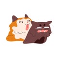 Funny nice friendly cat licking, flirting, disturbing, bothering annoyed pet. Cute kitties couple with different