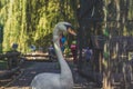 Funny and nice photogenic goose farm animal portrait in zoo area walking free around Royalty Free Stock Photo