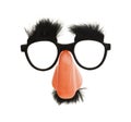 Funny Nose Glasses Disguise Royalty Free Stock Photo
