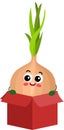 Funny onion mascot in cardboard box