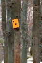 A twostory orange colored birdhouse on a tree in a city park