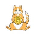 Funny orange cat holding Bitcoin, hand drawn cat with crypto coin design