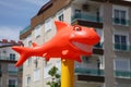 Funny orange shark with snow-white smile in the sunshine Royalty Free Stock Photo