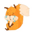 Funny Orange Squirrel Character with Bushy Tail Sitting and Crying Vector Illustration