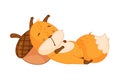 Funny Orange Squirrel Character with Bushy Tail Sleeping with Head on Acorn Vector Illustration
