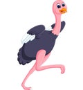 Funny ostrich cartoon
