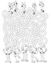 Funny ostriches with long, tangled necks. Children logic game to pass maze