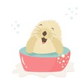 Funny otter taking shower sitting in a wash-basin