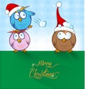 Funny owl cartoon