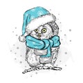 Funny owl in Christmas hat. Christmas and New Year.