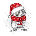 Funny owl in Christmas hat.