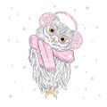 Funny Owl earmuffs and a scarf. Vector illustration for a card or poster. Print on clothes.