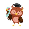 Funny Owl in Graduation Hat Holding Diploma Certificate Vector Illustration Royalty Free Stock Photo