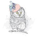 Funny owl in the ladies` hat. Fashion & Style. Vintage.