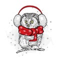 Funny owl in the New Year with headphones.