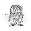 Funny owl. Vector illustration.