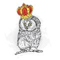 Funny owl wearing a crown.