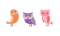 Funny Owlet with Big Eyes as Comic Nocturnal Bird Vector Set