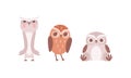 Funny Owlet with Big Eyes as Comic Nocturnal Bird Vector Set