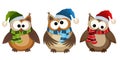 Funny owls