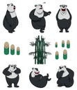 Funny Panda And Bamboo Collection Color Illustration