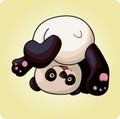 Funny panda does a somersault