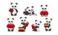 Funny panda reads a book.Cartoon style set. Vector ,illustration isolated on white background Royalty Free Stock Photo