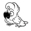 Funny Parrot Cockatoo cartoon