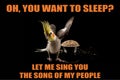 Funny Parrot meme, you want to sleep?, Let me sing you the song of my people. cool memes and quotes