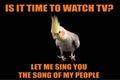 Funny Parrot Meme, You Want To Watch TV?, Let Me Sing You The Song Of My People. Cool Memes And Quotes