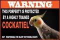 Funny Parrot memes, dangerous Pets warning Royalty Free Stock Photo