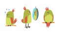 Funny Parrot Perching, Looking in Mirror and Sleeping Vector Set