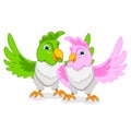 Funny parrots with bright feathers Royalty Free Stock Photo