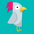 Funny parrots isolated vector illustration in flat style