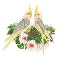 Funny parrots yellow cockatiel cute tropical bird and white hibiscus watercolor style on a green background vintage vector illus Royalty Free Stock Photo