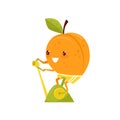 Funny peach training on an exercise bike, sportive fruit cartoon character doing fitness exercise vector Illustration on