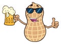 Funny Peanut Cartoon Mascot Character Holding A Beer And Thumb Up Royalty Free Stock Photo