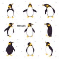 Funny Penguin as Aquatic Flightless Bird with Flippers Waddling and Standing Vector Set