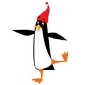 Funny penguin in beanie with pompom