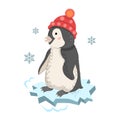 Funny penguin on an ice floe in a hat cartoon vector illustration. Cute pet northern animal. Royalty Free Stock Photo