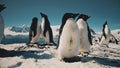 Funny penguins flapping the wings Close-up. Antarctica.